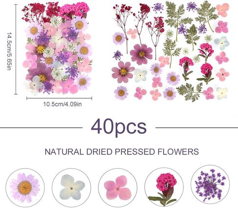 40 قطعة من راتنج الزهور المجففة المضغوطة الطبيعية، زهور جافة لاكسسوارات الراتنج مع ملقط، زهور مجففة لدفتر القصاصات والحرف الفنية التي تصنعها بنفسك، قوالب مجوهرات راتنج الايبوكسي والشموع وديكور الاظافر in Kuwait