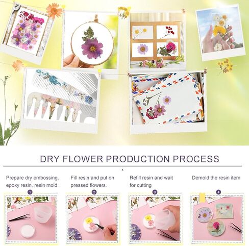 40 قطعة من راتنج الزهور المجففة المضغوطة الطبيعية، زهور جافة لاكسسوارات الراتنج مع ملقط، زهور مجففة لدفتر القصاصات والحرف الفنية التي تصنعها بنفسك، قوالب مجوهرات راتنج الايبوكسي والشموع وديكور الاظافر in Kuwait