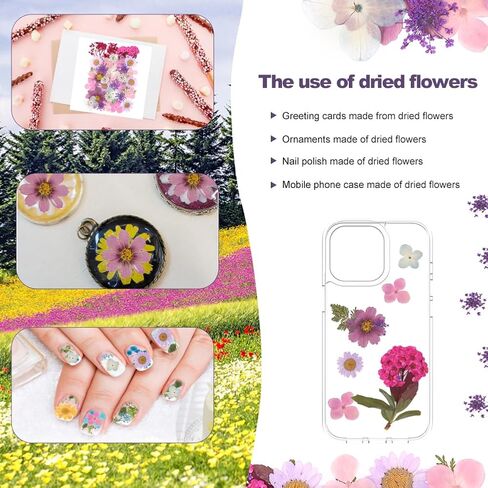 40 قطعة من راتنج الزهور المجففة المضغوطة الطبيعية، زهور جافة لاكسسوارات الراتنج مع ملقط، زهور مجففة لدفتر القصاصات والحرف الفنية التي تصنعها بنفسك، قوالب مجوهرات راتنج الايبوكسي والشموع وديكور الاظافر in Kuwait