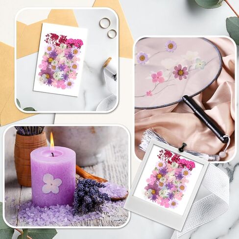 40 قطعة من راتنج الزهور المجففة المضغوطة الطبيعية، زهور جافة لاكسسوارات الراتنج مع ملقط، زهور مجففة لدفتر القصاصات والحرف الفنية التي تصنعها بنفسك، قوالب مجوهرات راتنج الايبوكسي والشموع وديكور الاظافر in Kuwait