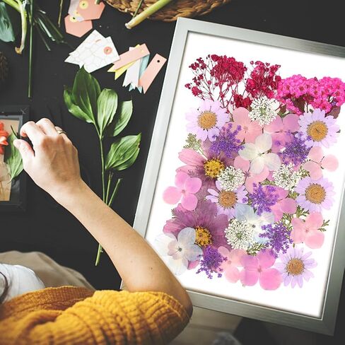 40 قطعة من راتنج الزهور المجففة المضغوطة الطبيعية، زهور جافة لاكسسوارات الراتنج مع ملقط، زهور مجففة لدفتر القصاصات والحرف الفنية التي تصنعها بنفسك، قوالب مجوهرات راتنج الايبوكسي والشموع وديكور الاظافر in Kuwait