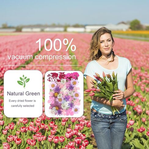 40 قطعة من راتنج الزهور المجففة المضغوطة الطبيعية، زهور جافة لاكسسوارات الراتنج مع ملقط، زهور مجففة لدفتر القصاصات والحرف الفنية التي تصنعها بنفسك، قوالب مجوهرات راتنج الايبوكسي والشموع وديكور الاظافر in Kuwait