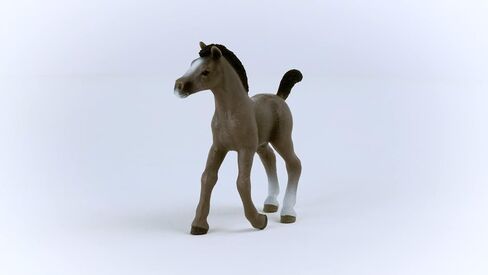 Schleich Horse Club 2023 Authentic Cheval de Selle Francais Mare Horse Figurine - Realistic Detailed Riding Horse Mare Toy for Boys and Girls Imagination and Play, Highly Durable Gift for Kids Ages 5+ in Saudi Arabia