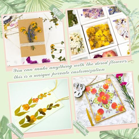 مجموعة ضغط الزهور الكبيرة من Tatuo مكونة من 6 طبقات مقاس 12.6 × 9.05 بوصة مع المزيد من ورق ضغط الزهور، طقم ضغط الزهور للبالغين والأطفال هدية عيد الميلاد in Kuwait