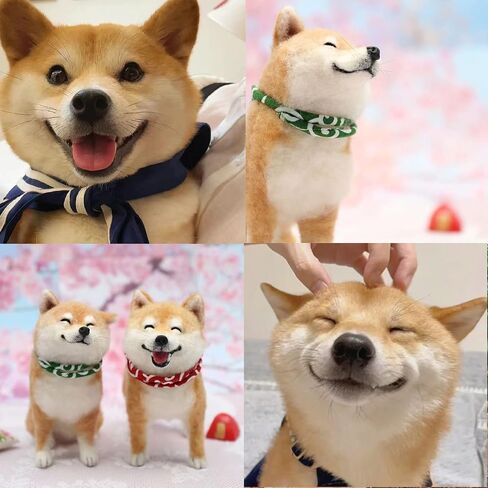 BKDRL Dogs Needle Felt Needle Felting Kit Wool Felting Kit for Beginners Includes All Tools and Instructions (Corgi) in Kuwait