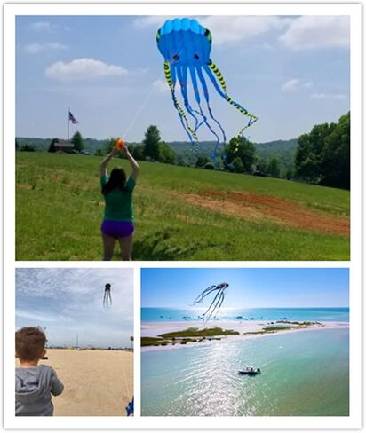APZ Sky Visitor 3D 26ft Ultra Large & Fun Octopus Foil Kite with Handle & Line, Giant Kite Gifts Toys for Adults Kids Boys Girls, Beach Trip Family Games and Activities, Park Outdoor Fun (Blue) in Kuwait