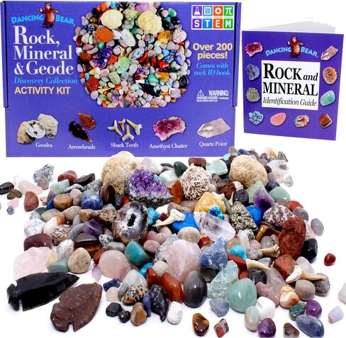 DANCING BEAR Rock, Mineral & Geodes Treasure Hunt Activity Kit (250 Pc Set) Real Shark Teeth Fossils, ID Sheet & Rock Book, STEM in Saudi Arabia