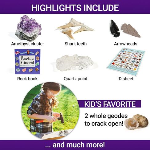 DANCING BEAR Rock, Mineral & Geodes Treasure Hunt Activity Kit (250 Pc Set) Real Shark Teeth Fossils, ID Sheet & Rock Book, STEM in Saudi Arabia