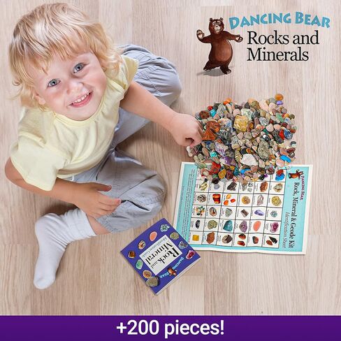DANCING BEAR Rock, Mineral & Geodes Treasure Hunt Activity Kit (250 Pc Set) Real Shark Teeth Fossils, ID Sheet & Rock Book, STEM in Saudi Arabia