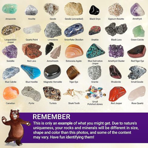 DANCING BEAR Rock, Mineral & Geodes Treasure Hunt Activity Kit (250 Pc Set) Real Shark Teeth Fossils, ID Sheet & Rock Book, STEM in Saudi Arabia