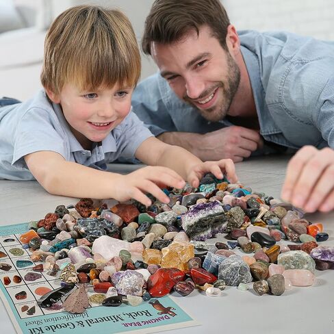 DANCING BEAR Rock, Mineral & Geodes Treasure Hunt Activity Kit (250 Pc Set) Real Shark Teeth Fossils, ID Sheet & Rock Book, STEM in Saudi Arabia