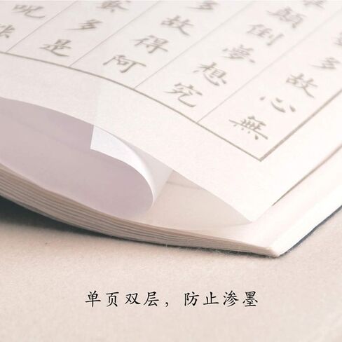 IZEO Chinese Calligraphy Paper Book Calligraphy Handwriting Book Brush Exercises Book (Tao Hua Yuan Ji) in Saudi Arabia