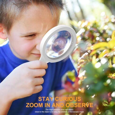 عدسة مكبرة PMMA مع ضوء وزن 0.23 رطل 5X 10X عدسة مكبرة كبيرة محمولة باليد مع 3 أوضاع إضاءة 13 خرزة مصباح LED in Kuwait