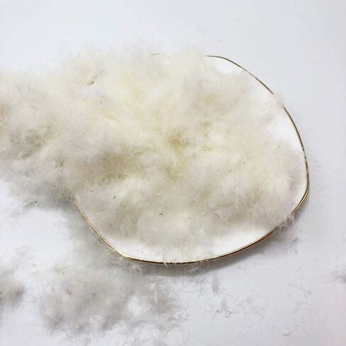 Ivie Bulk 90/10 ريش الأوز الأبيض - حشوة ريش الأوز 200 جرام - الجزء الأكبر 850 in Saudi Arabia