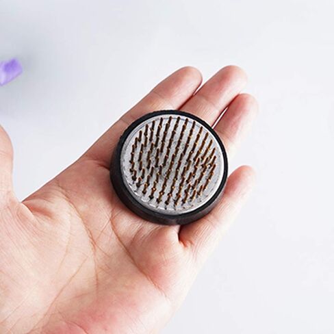 زهرة الضفدع حامل دائري دبوس الضفدع لترتيب الزهور (2.4 بوصة) in Kuwait