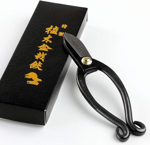 مجموعة أدوات Wazakura المصنوعة في اليابان Ikebana - مقص Ikenobo + حامل زهور Sun and Moon Kenzan، مجموعة تنسيق الزهور اليابانية، مقصات زهور ومجموعة صندوق هدايا دبوس الضفدع - مجموعة Sun and Moon Kenzan in Kuwait