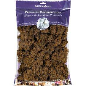 SuperMoss (21757) Reindeer Moss Preserved, Forest, 8oz (200 cubic inch) in Saudi Arabia