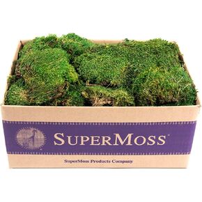 SuperMoss (21538) Mood Moss Preserved, Fresh Green, 3 Pounds