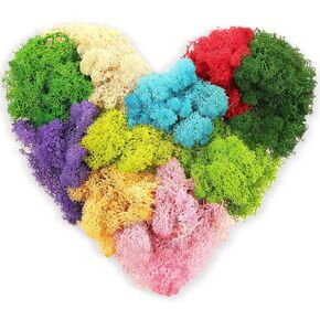 Canlierr 7 Oz Preserved Moss for Crafts Artificial Decorative Moss Faux 10 Colors Mix Garden Dried Floral Forest Moss for Terrariums, Wall Decor, Centerpieces, Fairy Gardens, Wedding, Floral Project