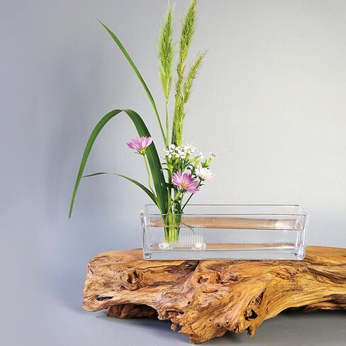 WANDIC Flower Frog, 2 Pcs Round Clear Plastic Ikebana Kenzan Frog Japanese Flower Holder with 3 Suckers for DIY Flower Craft in Kuwait