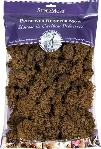 SuperMoss (21757) Reindeer Moss Preserved, Forest, 8oz (200 cubic inch) in Kuwait