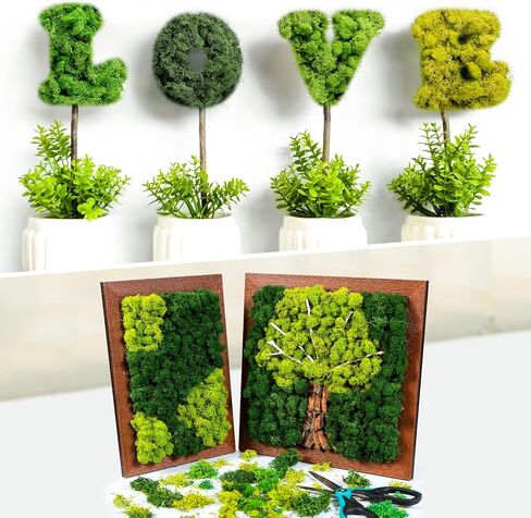 طحالب الرنة المحفوظة، طحالب السائبة للحرف اليدوية، طحالب الزهور الطبيعية المجففة متعددة الألوان لفنون الحائط المنزلية والمكتبية، زينة قطع مركزية للزفاف (رواية، 2.2 رطل) in Kuwait