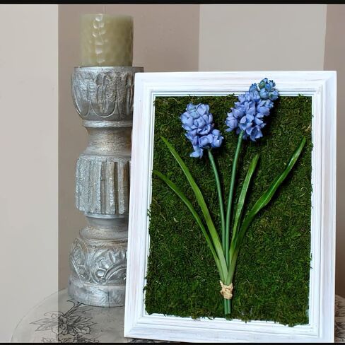 FAICOIA Moss Table Runner الطحلب المجفف للحرف اليدوية لفة الطحلب الأخضر للحدائق الخيالية وديكور الغابات الزفاف 12 بوصة × 106 بوصة حصيرة الطحلب المحفوظة لتزيين الطاولة سجادة الطحلب لجدار العشب الطحلب 30 × 270 سم in Kuwait
