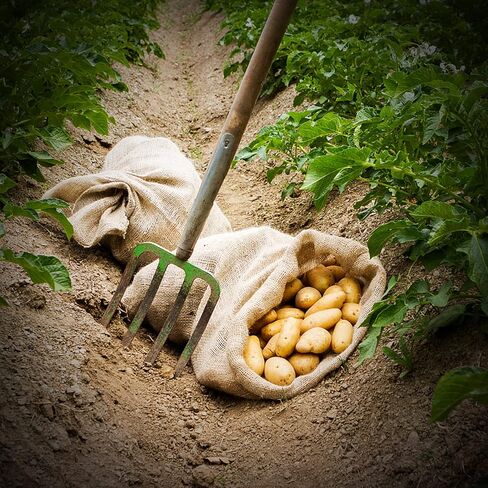 2 Pack Large Burlap Sack,24x40 Reusable Woven Jute Bag for Potato Sack Race,Backyard Gardening, Food Storage,Halloween Costume,Easter,Big Burlap Sack for Family Carnival Games in Kuwait