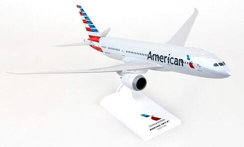Daron Skymarks American Airlines Boeing 787 8 1/200 in Saudi Arabia