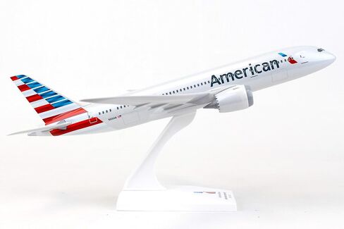Daron Skymarks American Airlines Boeing 787 8 1/200 in Saudi Arabia
