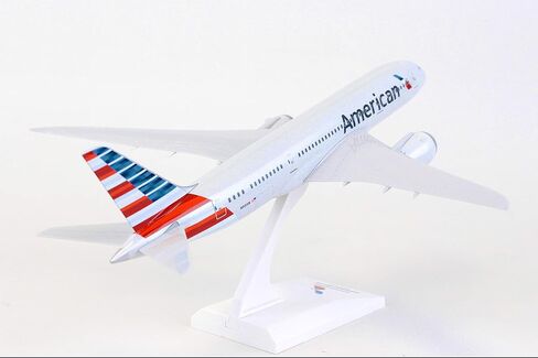 Daron Skymarks American Airlines Boeing 787 8 1/200 in Saudi Arabia
