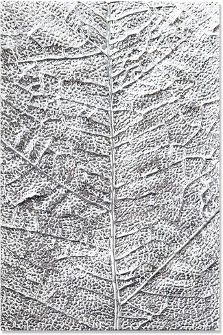 مجلد نقش الانطباعات ثلاثية الأبعاد من سيزيكس، متعدد الألوان in Kuwait