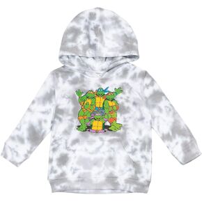 Teenage Mutant Ninja Turtles TMNT Leonardo Michelangelo Raphael Fleece Pullover Hoodie Toddler to Big Kid