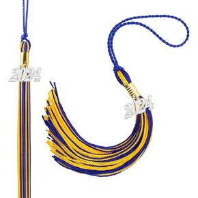 2 PCS 2024 Tassel Graduation Academic Graduation Cap Tassel 2024 Tassel for Graduation Cap Hat Decoration Tassel with The 2024 Year Silver Charm Graduation Party Gift Ceremonies Accessories, (Black)