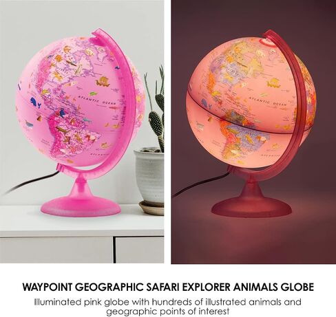 Waypoint Geographic Circus Explorer Globe، كرة أرضية أكريليك مع حامل من خشب الزان، 10 بوصات حيوانات مضيئة في العالم، للمكاتب الصغيرة والطاولات in Kuwait