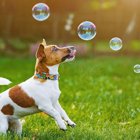 آلة فقاعات بيسون مع أضواء ليد تلقائية نفخة فقاعات للأطفال في حفلة يوم بريطانيا، تشغيل شاشة ليد أو التحكم اللاسلكي عن بعد، مستويات سرعة قابلة للتعديل، تعمل بالقابس الكهربائي أو البطارية in Kuwait