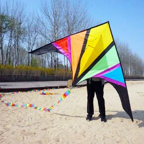 Besra Rainbow Delta Kite طائرة ورقية ذات خط واحد مع ذيل طويل للأطفال والكبار، رياضات ممتعة في الهواء الطلق للشاطئ والمنتزه in Kuwait