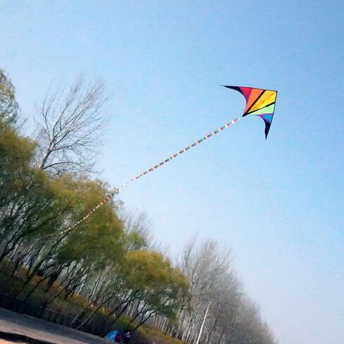 Besra Rainbow Delta Kite طائرة ورقية ذات خط واحد مع ذيل طويل للأطفال والكبار، رياضات ممتعة في الهواء الطلق للشاطئ والمنتزه in Kuwait