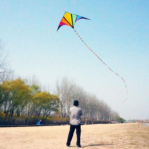Besra Rainbow Delta Kite طائرة ورقية ذات خط واحد مع ذيل طويل للأطفال والكبار، رياضات ممتعة في الهواء الطلق للشاطئ والمنتزه in Kuwait