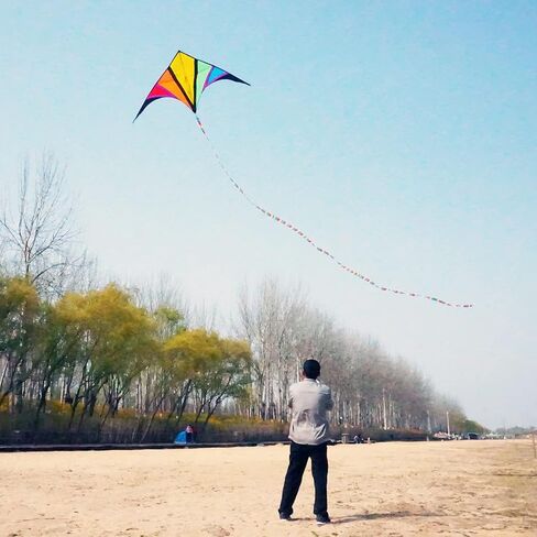 Besra Rainbow Delta Kite طائرة ورقية ذات خط واحد مع ذيل طويل للأطفال والكبار، رياضات ممتعة في الهواء الطلق للشاطئ والمنتزه in Kuwait