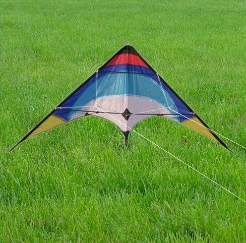 HENGDA KITE New 48 بوصة طائرة ورقية رياضية خارجية ممتعة طائرة ورقية رياضية بخط مزدوج - تتضمن خط طائرة ورقية وحقيبة in Kuwait