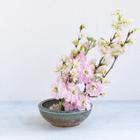 Wazakura صنع في اليابان مجموعة أدوات Ikebana للمبتدئين، مزهرية زهور مينوياكي باللونين البني والأزرق، حامل كينزان نحاسي 2.4 بوصة (61 مم)، منظف (مزهرية مينوياكي تيراكوتا، كنزان نحاسية، أداة العناية) in Kuwait