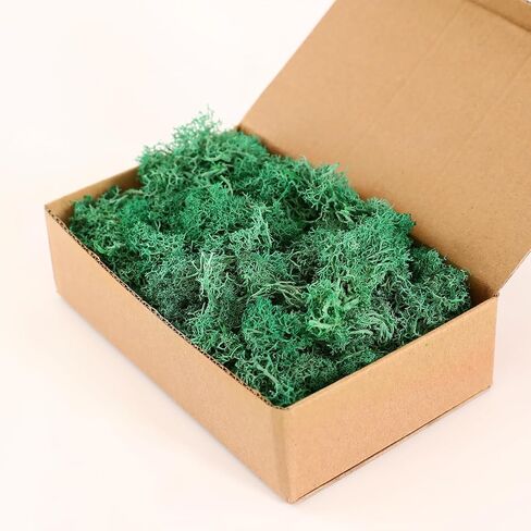 Dallisten Moss المحفوظة، الطحلب الزخرفي الأخضر لحيوان الرنة لتزيين الغابات الساحرة، حديقة خرافية، حفلة، جدار فني، نباتات داخلية بوعاء، طاولة، مرابي حيوانات، ديكور بونساي (أحمر، 3.6 أونصة) in Kuwait