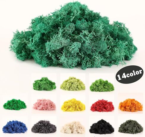 Dallisten Moss المحفوظة، الطحلب الزخرفي الأخضر لحيوان الرنة لتزيين الغابات الساحرة، حديقة خرافية، حفلة، جدار فني، نباتات داخلية بوعاء، طاولة، مرابي حيوانات، ديكور بونساي (أحمر، 3.6 أونصة) in Kuwait