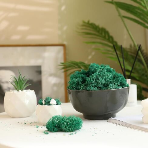 Dallisten Moss المحفوظة، الطحلب الزخرفي الأخضر لحيوان الرنة لتزيين الغابات الساحرة، حديقة خرافية، حفلة، جدار فني، نباتات داخلية بوعاء، طاولة، مرابي حيوانات، ديكور بونساي (أحمر، 3.6 أونصة) in Kuwait