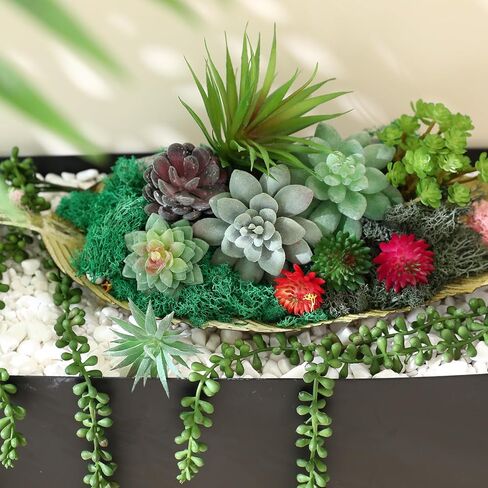 Dallisten Moss المحفوظة، الطحلب الزخرفي الأخضر لحيوان الرنة لتزيين الغابات الساحرة، حديقة خرافية، حفلة، جدار فني، نباتات داخلية بوعاء، طاولة، مرابي حيوانات، ديكور بونساي (أحمر، 3.6 أونصة) in Kuwait