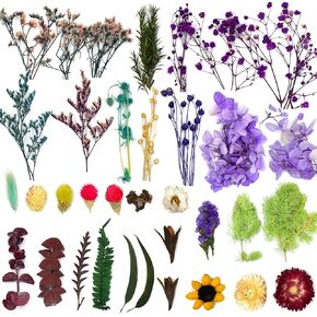16 Bags Dried Flowers for Candle Making, Dried Flowers for Soap Making, Soap Flowers and Dried Herbs for Candle Oil, Bath Bombs. Essential Fragrant – The Best Variety of Grade A Flowers