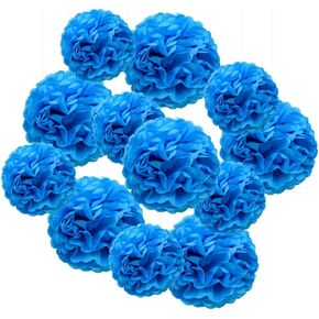 Hocansen 12Pcs Tissue Paper Pompoms 10/12in Paper Flower Ball for Birthdays and Special Occasions Party Hanging Decoration (10in+12in，Red) in Saudi Arabia