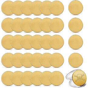 Yinkin 30 Pcs Blank Challenge Coins for Engraving Blanks Coin Threaded Edged 40 mm with Acrylic Protection Box Laser Engraveable Stamping Coin for DIY Crafts Collection Supplies (Silver, Zinc Alloy)