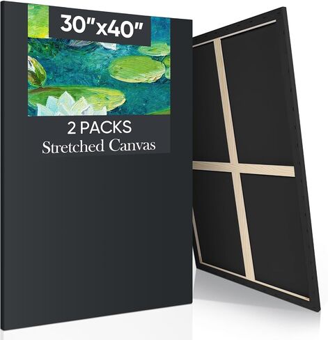 Ctosree 2 Pack Stretched Canvas for Painting, Large Black Cotton Art Large Triple Primed Profile Blank Canvases for Watercolor Acrylics Oil Painting(24 x 36 Inch) in Saudi Arabia